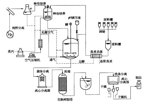 生物發(fā)酵罐工藝流程圖 生物發(fā)酵罐工藝流程圖